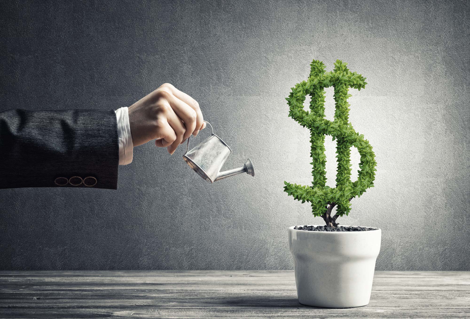 abcinvesting