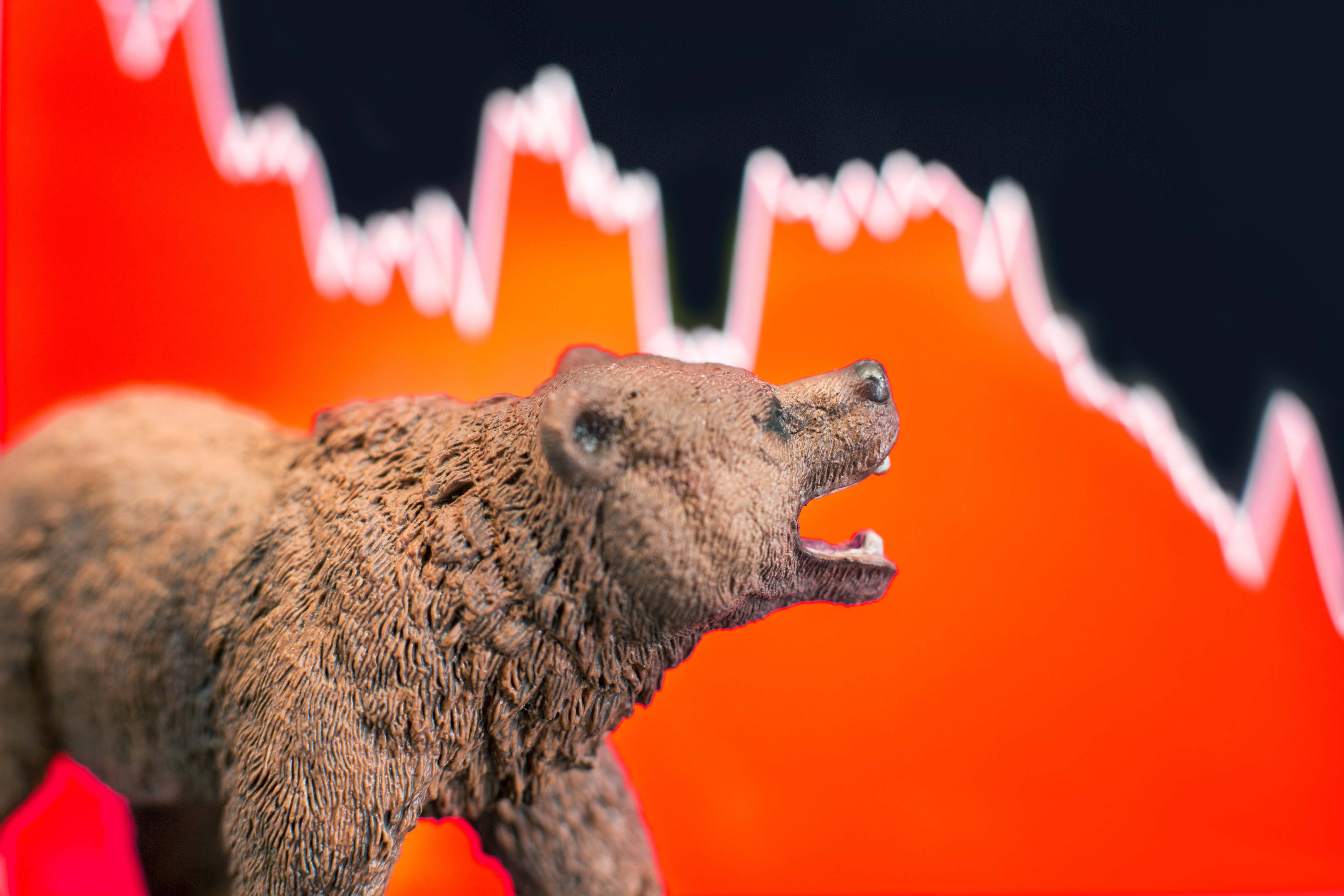 bear-market1